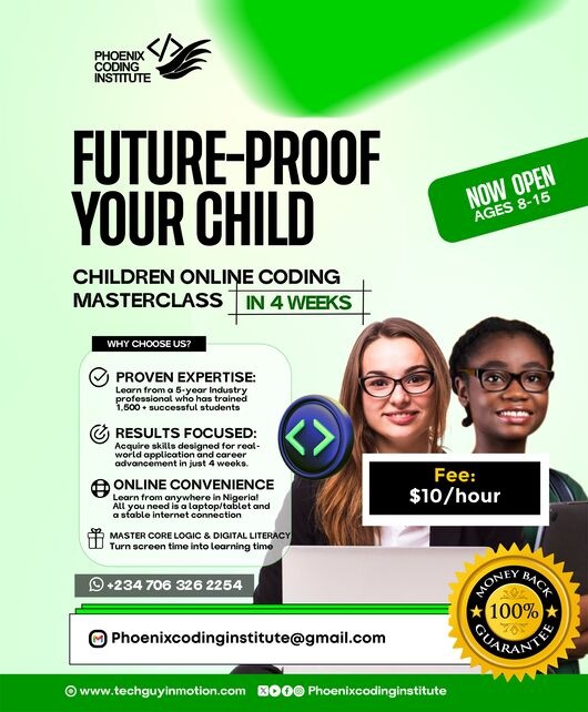 Phoenix coding innovations graphics